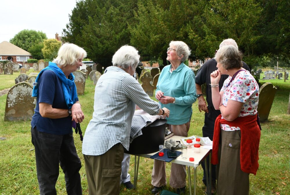 Sutterby Moth Trap - Stickford Church on 25 July 2025