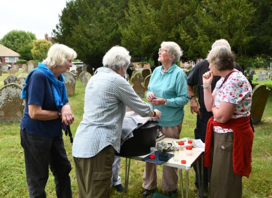Sutterby Moth Trap - Stickford Church on 25 July 2025