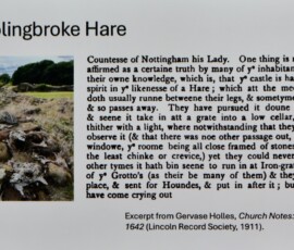 Witches in Lincolnshire - Rory Waterman 16