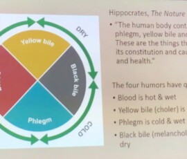 The Mediaeval Body - Professor Lynda Payne 8