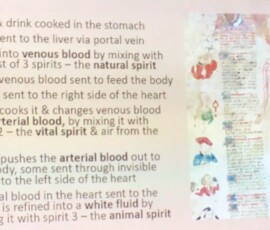 The Mediaeval Body - Professor Lynda Payne 10