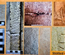 Graffiti in Lincolnshire Churches - Brian Porter