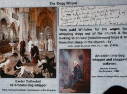 Tudor Paperwork - Dr Brian Hodgkinson